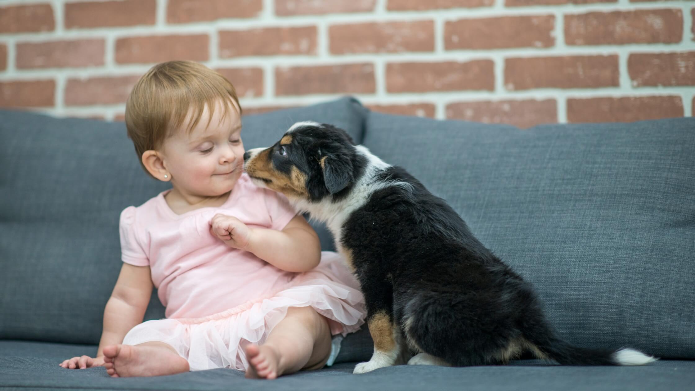 baby and dog playing