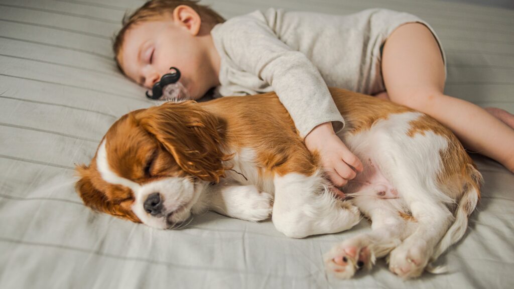 baby napping with puppy