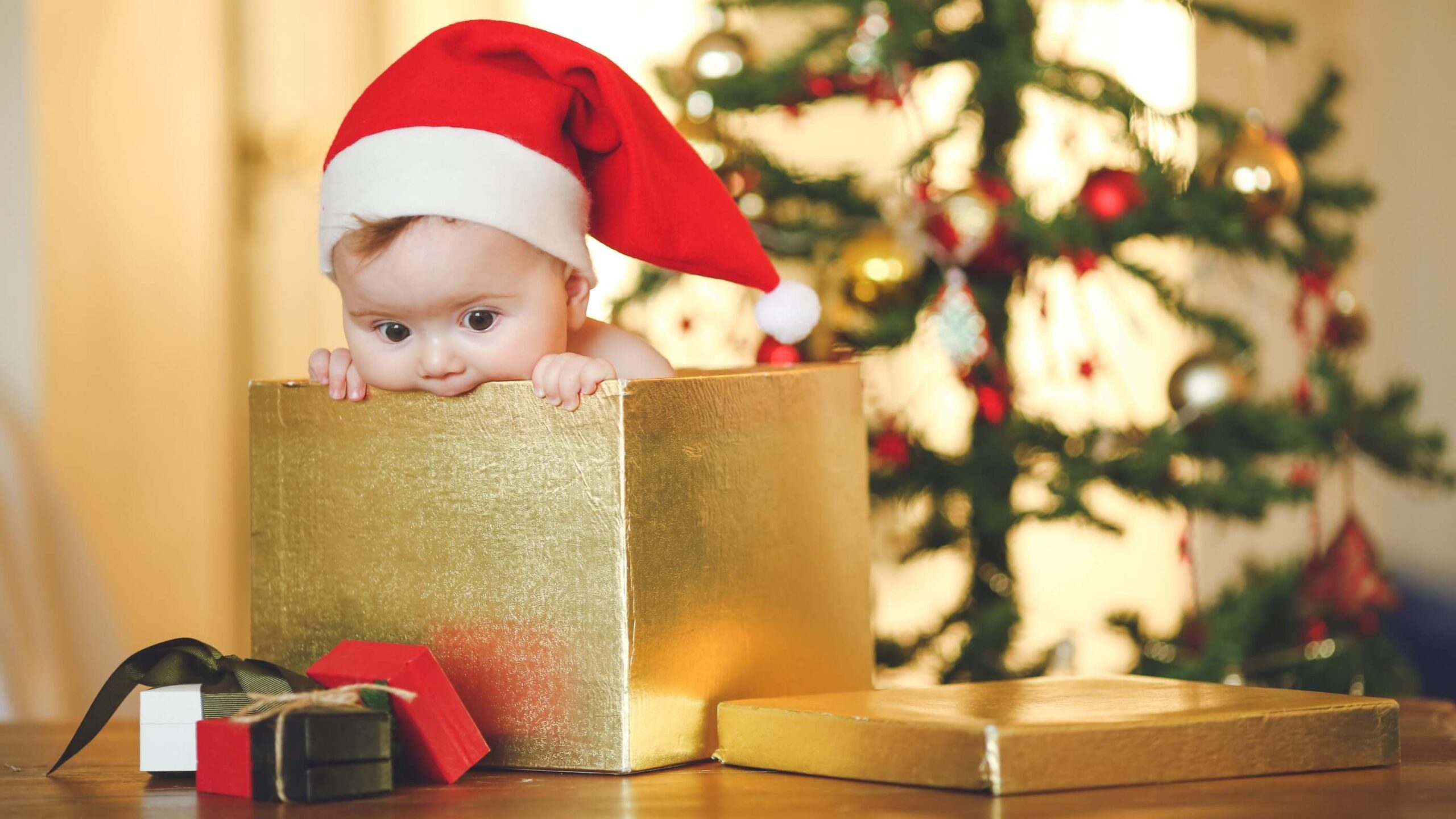 baby in gift box chewing on edge